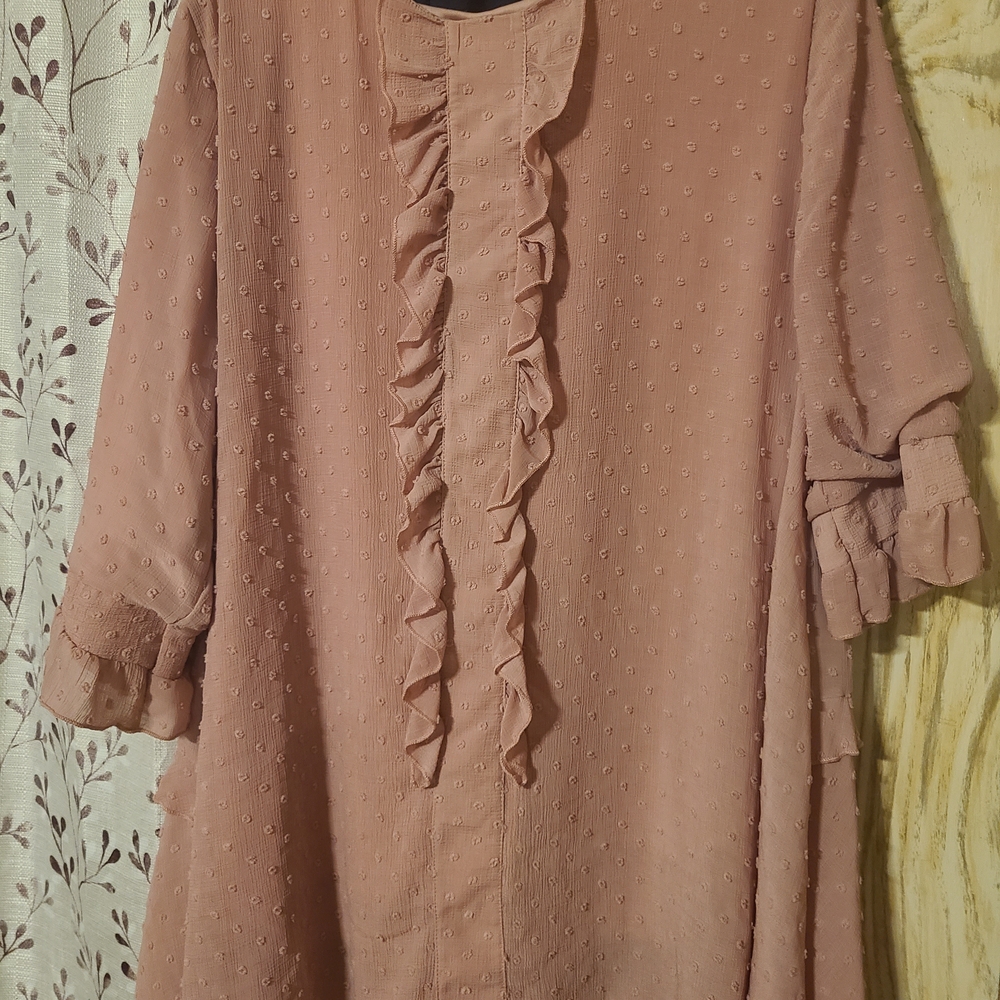 Zadie Bs Elegant Ruffled Pink Blouse